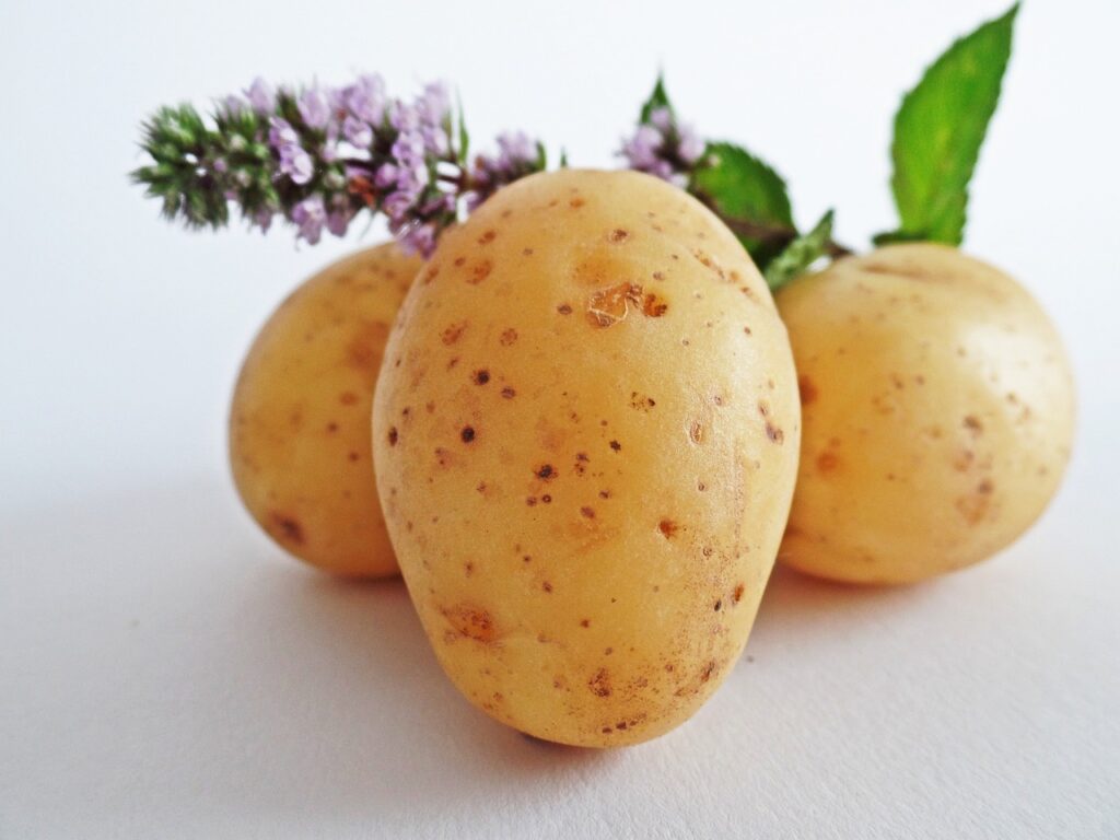 potatoes, vegetables, field-448610.jpg